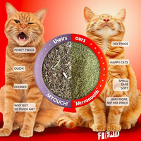 Fiend Catnip Safety-Cut 100% Pure Potent Fine Cat Nip for Cats & Kittens – Ultra Potent, North American – 1 Cup (34.5g) Canister – Go Ahead, Create a Monster!