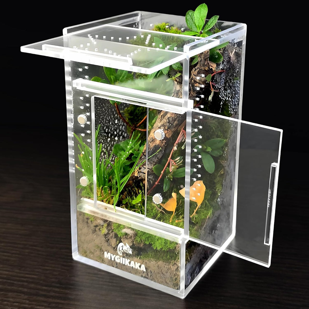MYGIIKAKA Jumping Spider Enclosure Accessories - 3x3x6 inch
