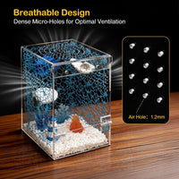 Jumping Spider Enclosure Starter Kit - Blue / Large - image 4
