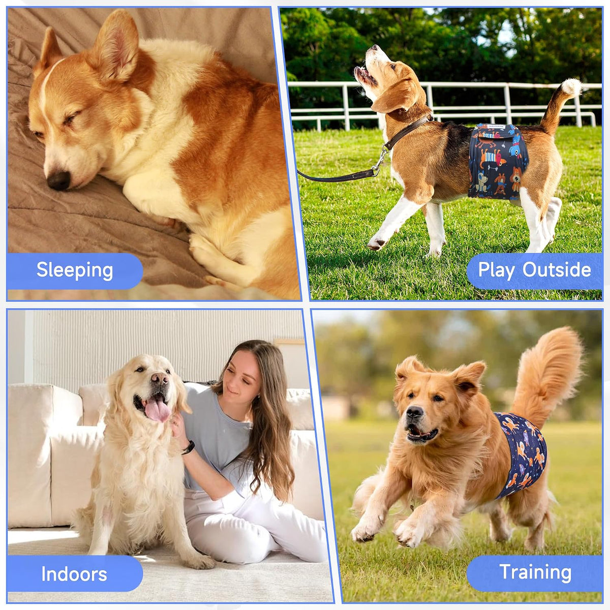 5 Pack Dog Diapers Male, High Absorbing Dog Wraps - Medium / Space - image 2