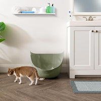 IRIS USA Cat Litter Box with High Walls and Handles, Made with Flexible Plastic, Sage Green
