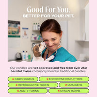 Nostalgia Pet-Friendly Scented Candle - Sundae Snuggles - 8oz / Sundae Snuggles - image 3