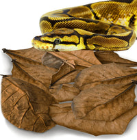 SunGrow Snake Leaf Litter