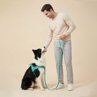 6FT Reflective Dog Leash for Small Medium Dogs, 5/8" Width - Teal / 3/4''x 6 FT - image 2