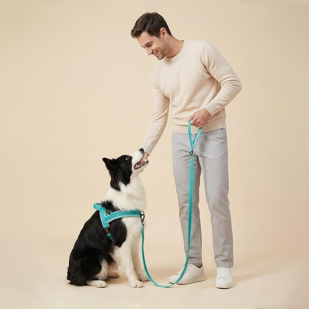 6FT Reflective Dog Leash for Small Medium Dogs, 5/8" Width - Teal / 3/4''x 6 FT - image 2