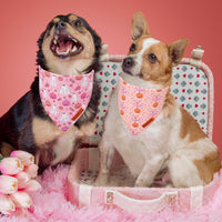 ADOGGYGO Pink Halloween Dog Bandanas Girl - Large / Halloween - image 3