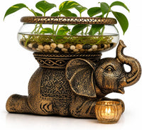 Elephant Decorative Bowl with Removable Glass Vessel