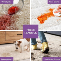 FOLEX Instant Carpet Spot Remover Carpet Cleaner - image 3