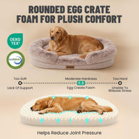 Miorun Fluffy Orthopedic Dog Beds Large Sized Dog - Beige / M(36", UP to 50lbs) - image 4