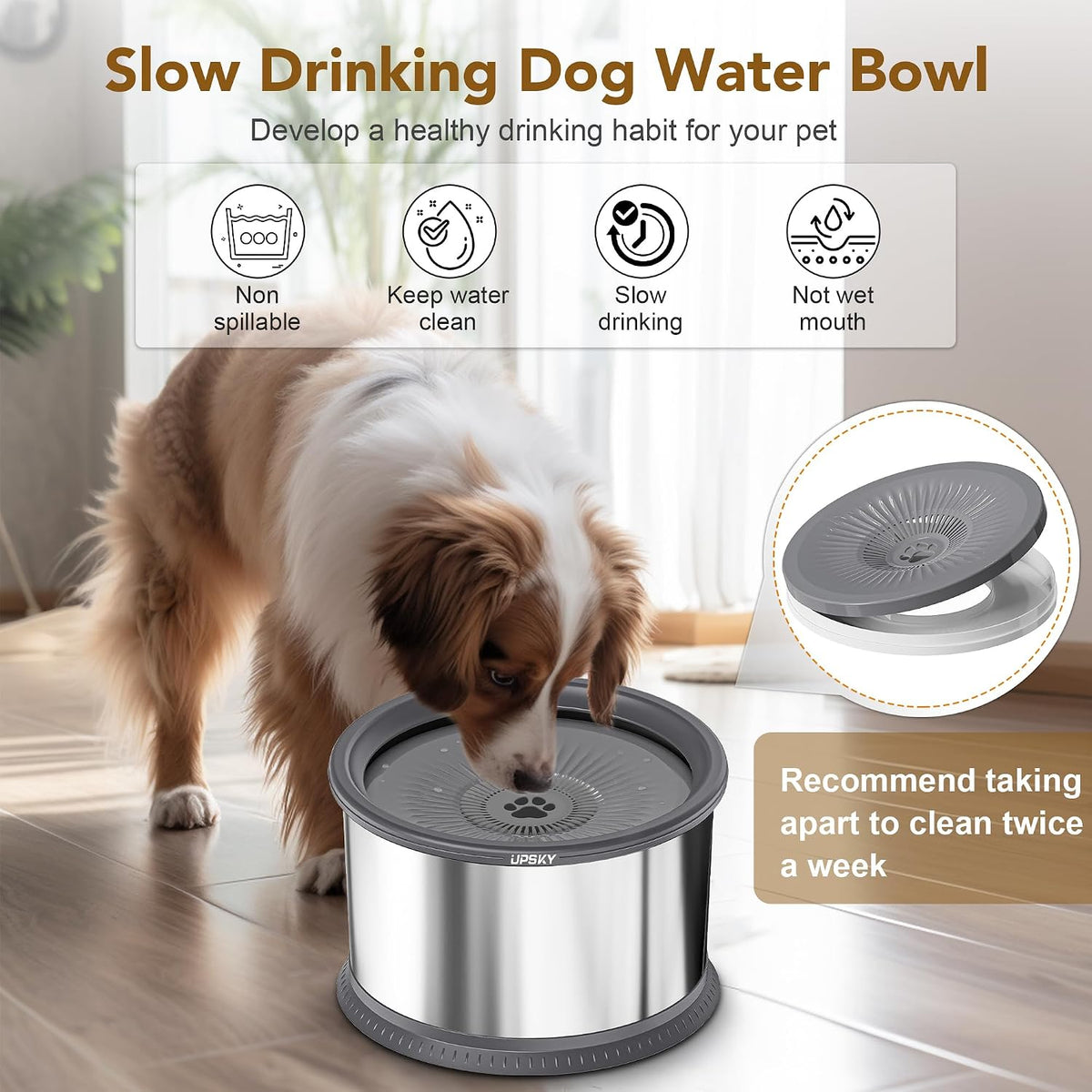 UPSKY 6.5L No Spill Dog Water Bowl Stainless Steel with Anti-Slip Mat – Essentials for Dogs - A.6.5L / A-Grey - image 4