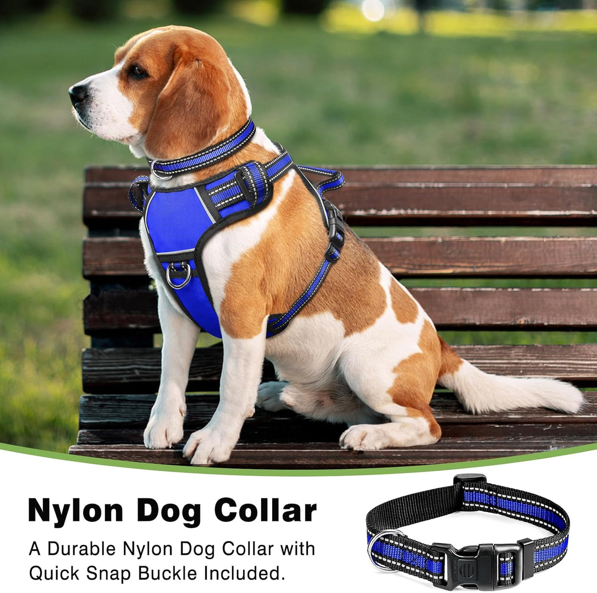 WINSEE Dog/Pet Harnesses No Pull with Dog Collar - Medium / Blue - image 3
