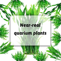 Aquarium Plants, Small to Large - image 4