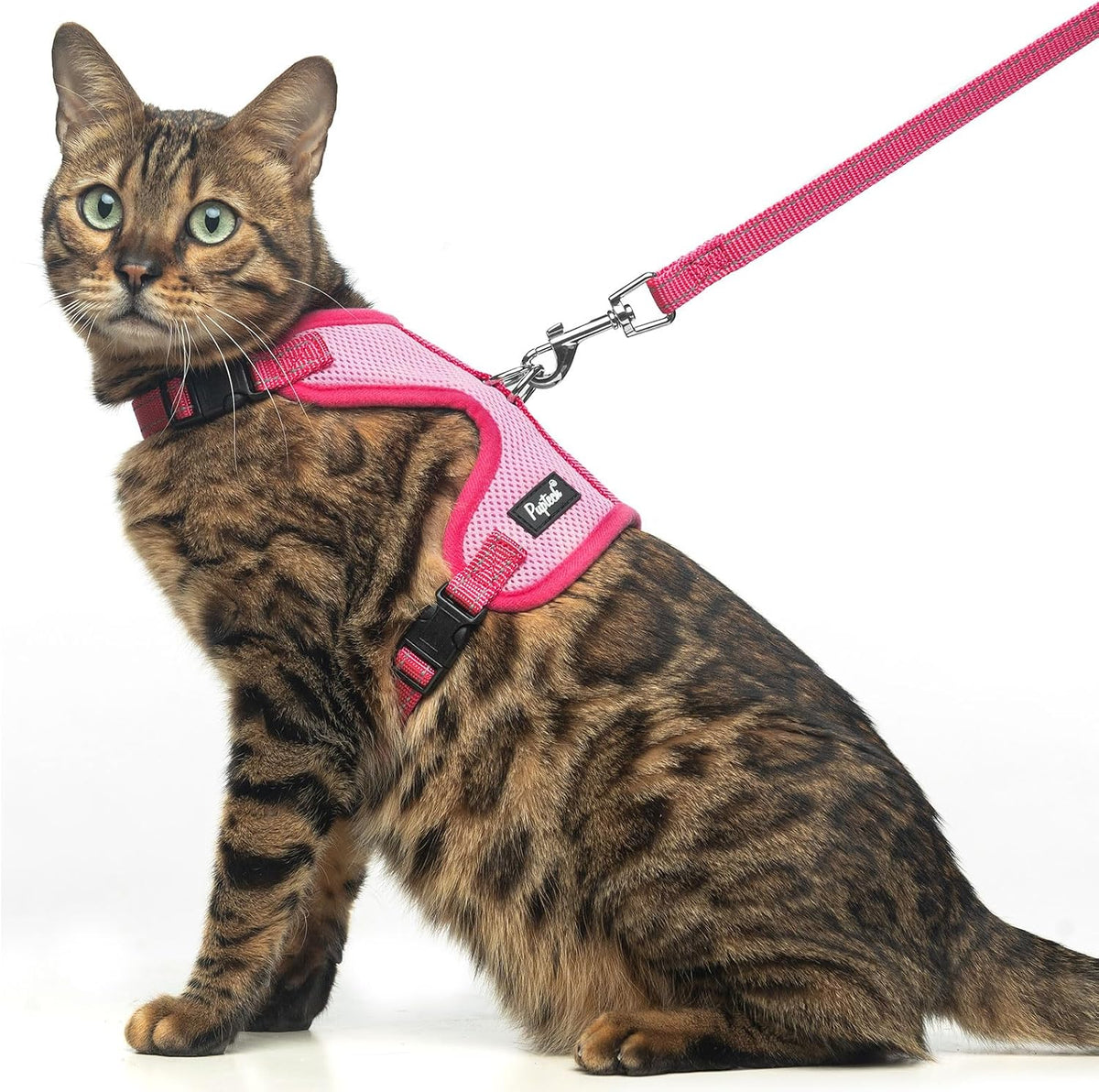 PUPTECK Cat Harness and Leash Set Escape Proof - Medium / Light Pink