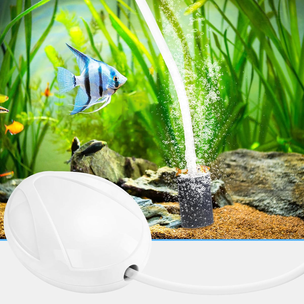 AQUANEAT Aquarium Air Pump for 20-210 Gallon Tank - up to 20 Gallons - image 3