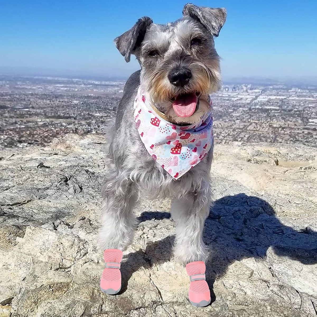 QUMY Dog Shoes for Small Dogs Hot Pavement Puppy Dog Boots & Paw - Pink / size 1: 1.29"x0.98"(L*W) - image 3