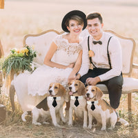 ADOGGYGO Dog Tuxedo Collar, Wedding Dog Bow Tie - Medium / Tie - image 2