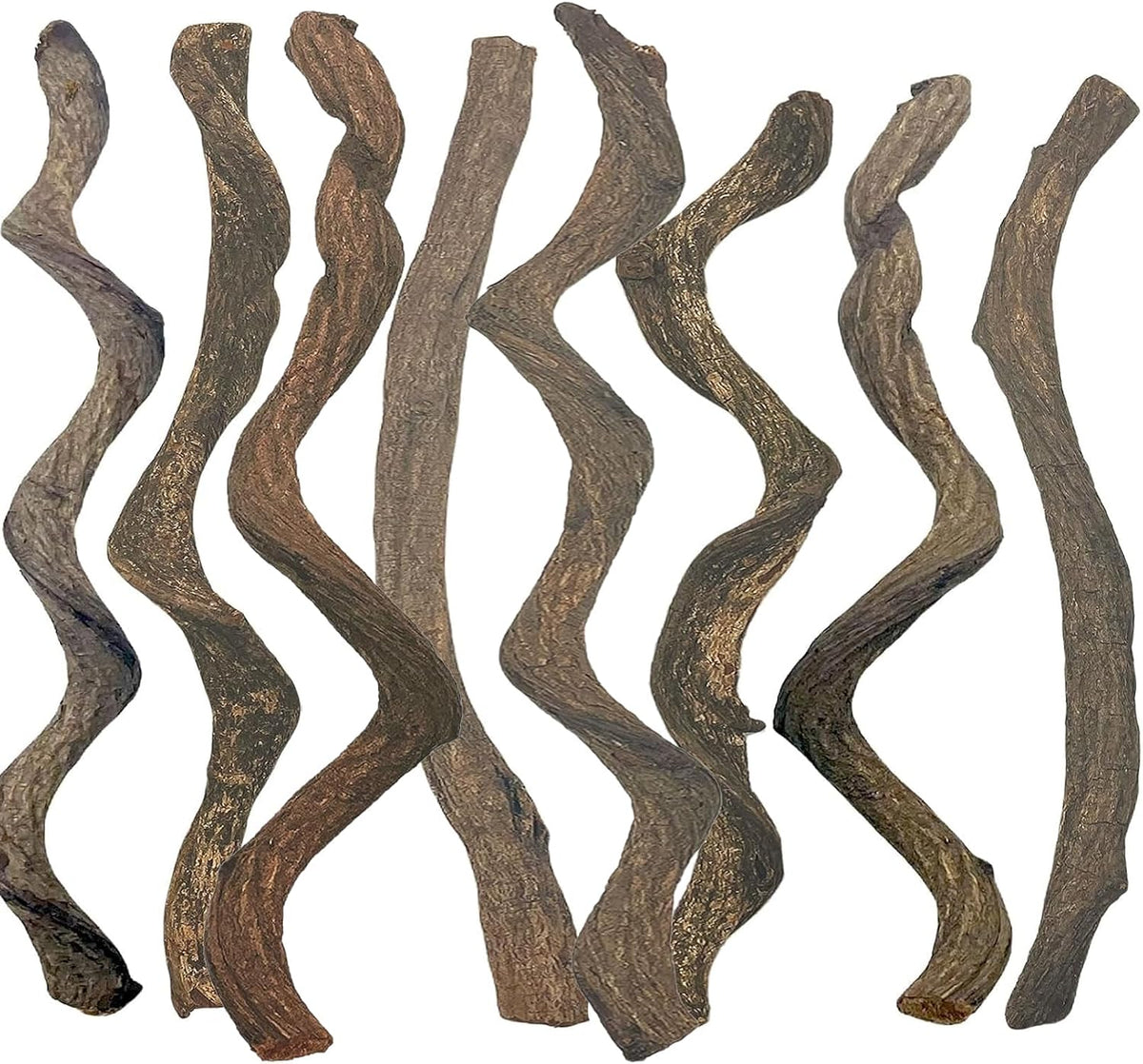Reptile Decor 3PCS Natural Forest Branch Terrarium Habitat Decoration - XL: 8PCS (16IN)