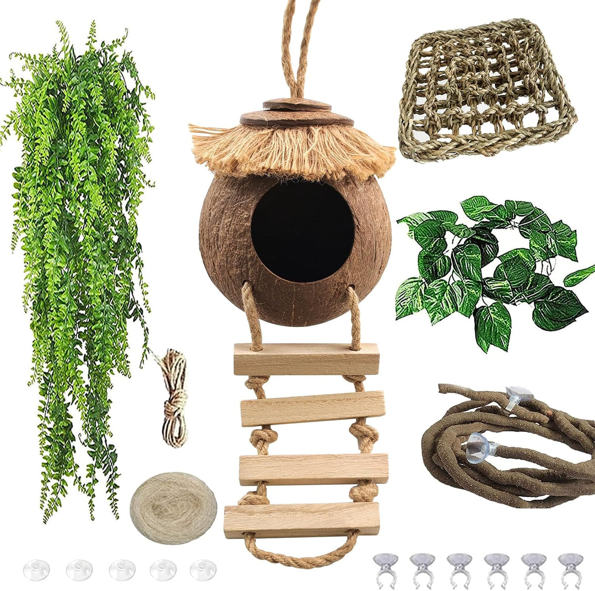Lizard Coco Den with Ladder - 【Style D】 / 【With Ladder】