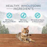 Blue Buffalo Wilderness High Protein Crunchy Cat Treats, Made With Natural Ingredients, Tasty Chicken, 2-oz Bag (Pack of 12)