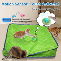 Waaiio Interactive Cat Toys for Indoor Cats - green - image 4