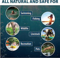 Airmax Nature's Blue Pond Dye 4X Concentrate for Outdoor Ponds & Lakes, Natural Pond Colorant & Beauty Enhancer, Block Ultraviolet Rays, Fish, Bird & Livestock Safe, Easy Liquid Application, 1 Quart