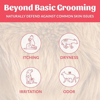 Skout's Honor Probiotic Dog Shampoo & Conditioner with Avocado Oil & Omega-3s, 97% Natural, Paraben & Sulfate-Free, Cruelty-Free, 16oz, Sunkissed Coconut