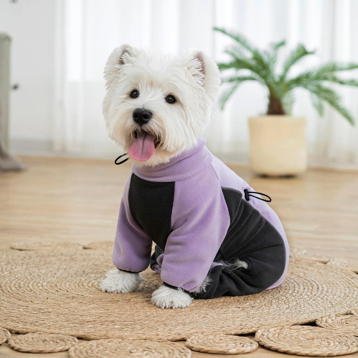 Fleece Dog Coat for Small Medium Dog - Purple / L - image 2