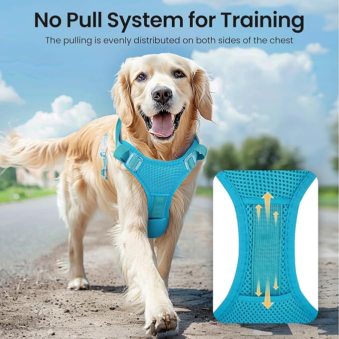 Light Up Dog Harness,Reflective Pet Harness Rechargeable,Led Dog Vest Harness for Night Walking,Adjustable Dog Safety Vest for Small Medium Large Dogs-No Pull,Blue,M