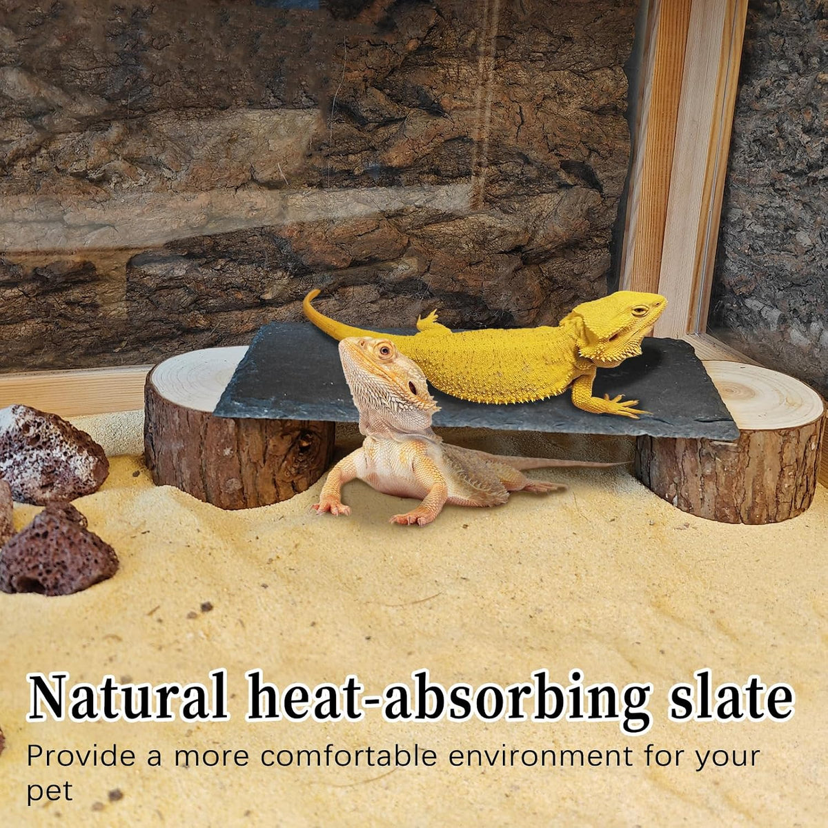 Bearded Dragon Basking Platform - XL - 10" x 6" x 1.6" - image 2