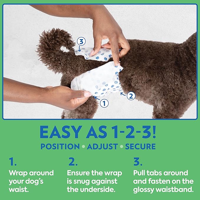 OUT! PetCare Disposable Dog Diapers Male, Puppy Belly Band, Potty Training, Doggie Diapers, Belly Bands for Male Dogs, Puppy Training, Incontinence, (M/L, 96ct)