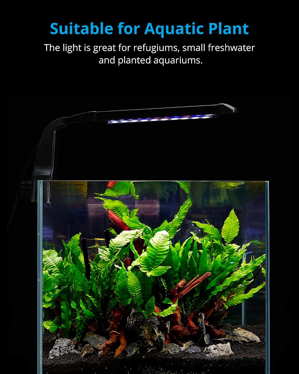 NICREW Clip-on Marine Aquarium Light for Coral Reef Tank – Essentials for Fish - For Plants - image 2