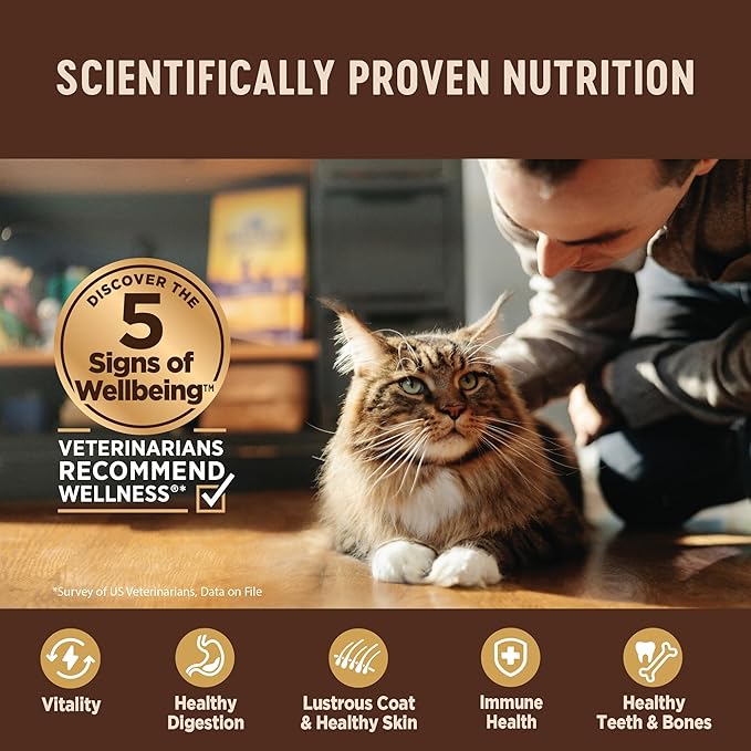 Wellness CORE+ Digestive Health Pate Adult Wet Cat Food, Natural, Protein-Rich, Grain Free, 3 Ounce, 12 Pack (Whitefish)