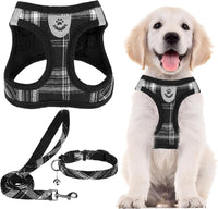 PUPTECK Dog Harness, Collar and Leash Set No Pull for Small Medium Sized – Essentials for Dogs - Black / M (CHEST 16"-18") / Patterned Harness Collar and Leash Set