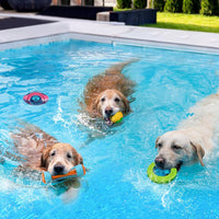 4 Pcs Interactive Dog Pool Toys - image 3