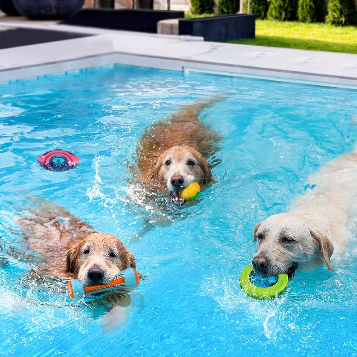 4 Pcs Interactive Dog Pool Toys - image 3