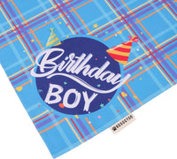 Dog Birthday Hat Bandana Set, Blue Plaid Boy Dog Bandana - Large / Sky Blue Boy - image 4