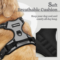 rabbitgoo Dog Harness No Pull with 2 Leash Clips, Adjustable Soft Padded, Reflective Oxford No Choke Pet Vest with Easy Control Handle for Medium Sized Dogs, Grey, M