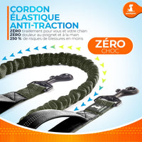 Active Pack Hands Free 2 Dogs Leash Medium & Large - Olive Green / 1 dog M/L - image 2