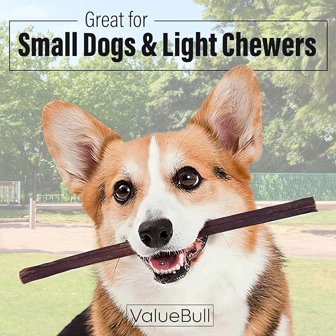 ValueBull Bully Sticks for Small Dogs, Thin 12 Inch, 50 Count - All Natural, Grass Fed, Single Ingredient, Long Lasting Dog Treats