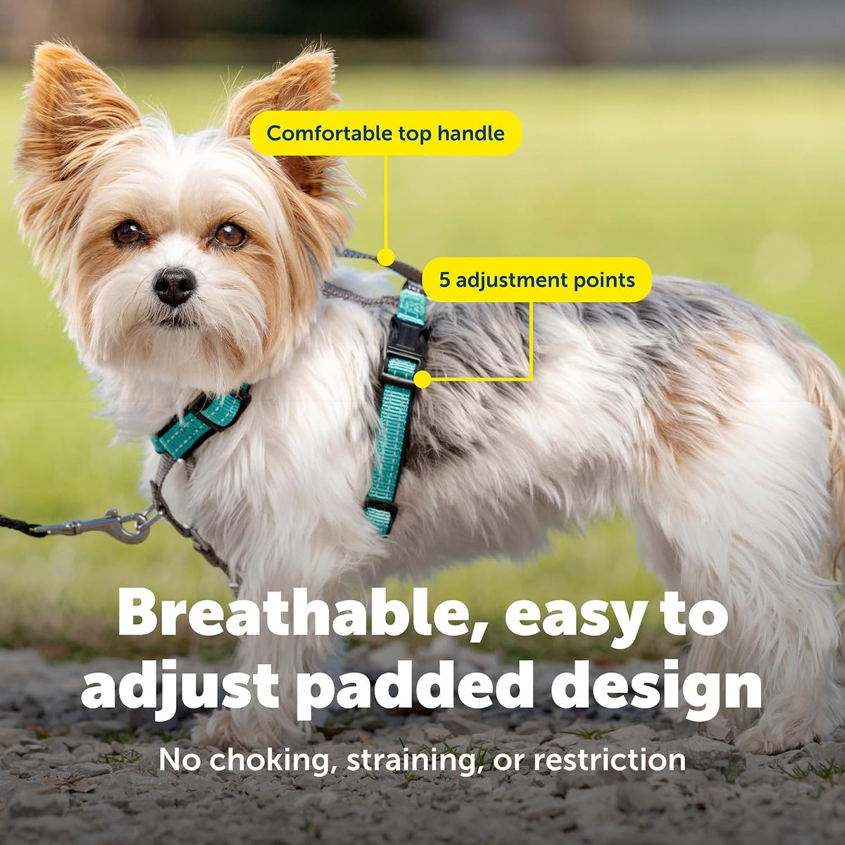 PetSafe 3 in 1 No-Pull Dog Harness, Walk, Train or Travel - Teal / Extra Small (Pack of 1) - image 4