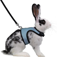 Niteangel Adjustable Soft Harness with Elastic Leash for Rabbits – Essentials for Small Pets - XL / Blue