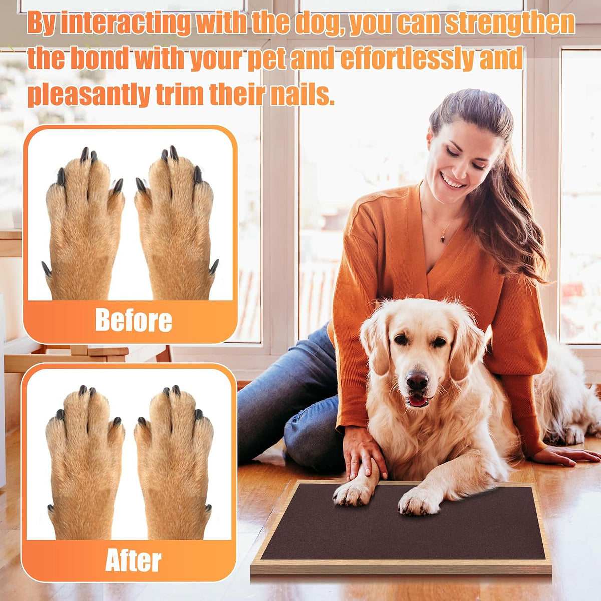 Pet Nail Self Adhesive Replacement Emery Paper - 10in*13ft / Brown - image 3