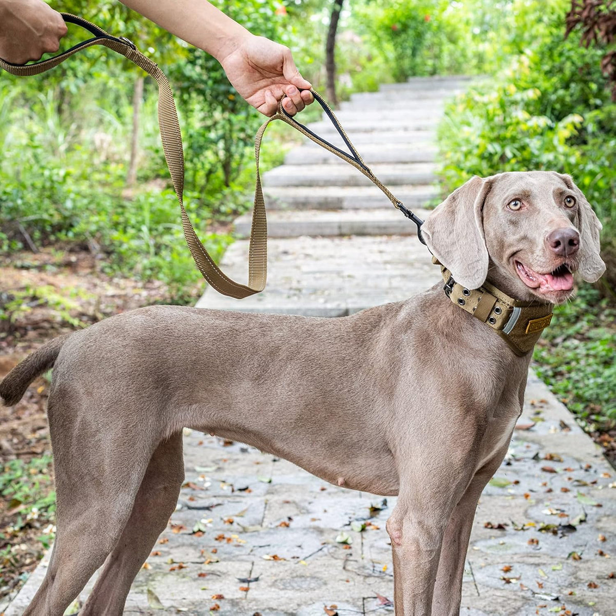 OneTigris No-Pull Dog Leash with Handle for Medium Large Dogs – Essentials for Dogs - Brown / 4FT - image 4