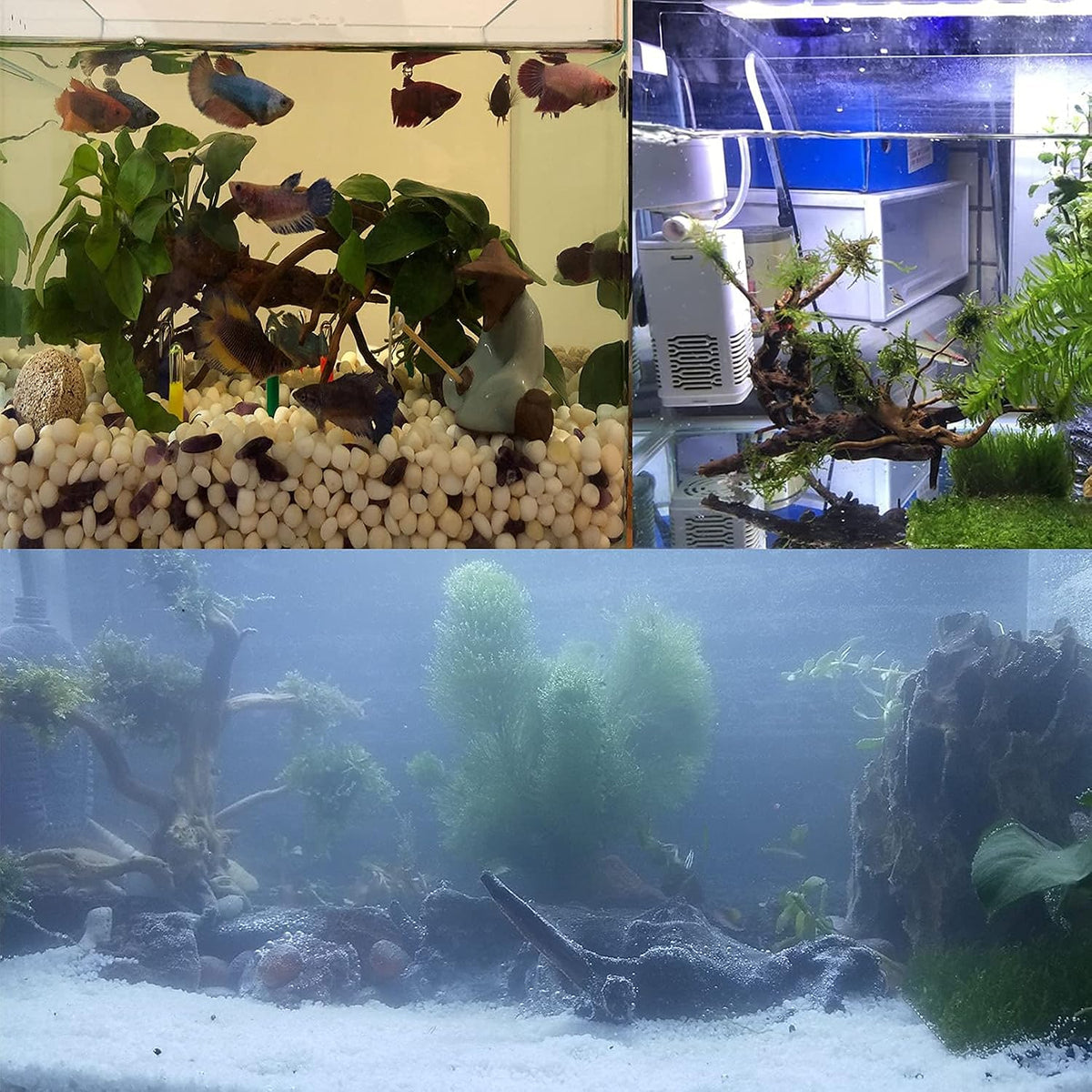 Aquarium Driftwood Reptile Branches Wood Natural Spiderwood Driftwood - 7 Pcs - image 3