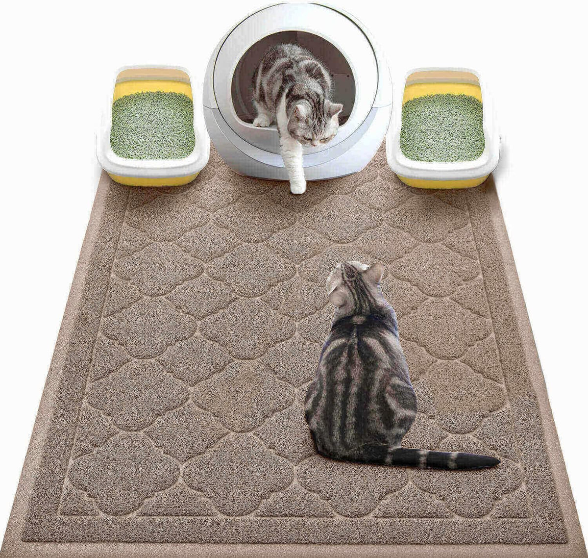 Cat Litter Box Mat, Kitty Premium PVC Pad, Durable Trapping Rug - #06 Champagne / Medallion/47 x 36 Inch