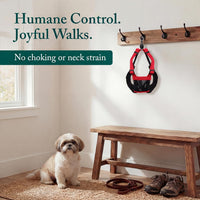 Sporn No Pull Dog Harness - Small / Red - image 2
