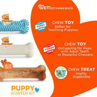 Nylabone Puppy Pacifier Chew Toy - Blue / Small - image 4