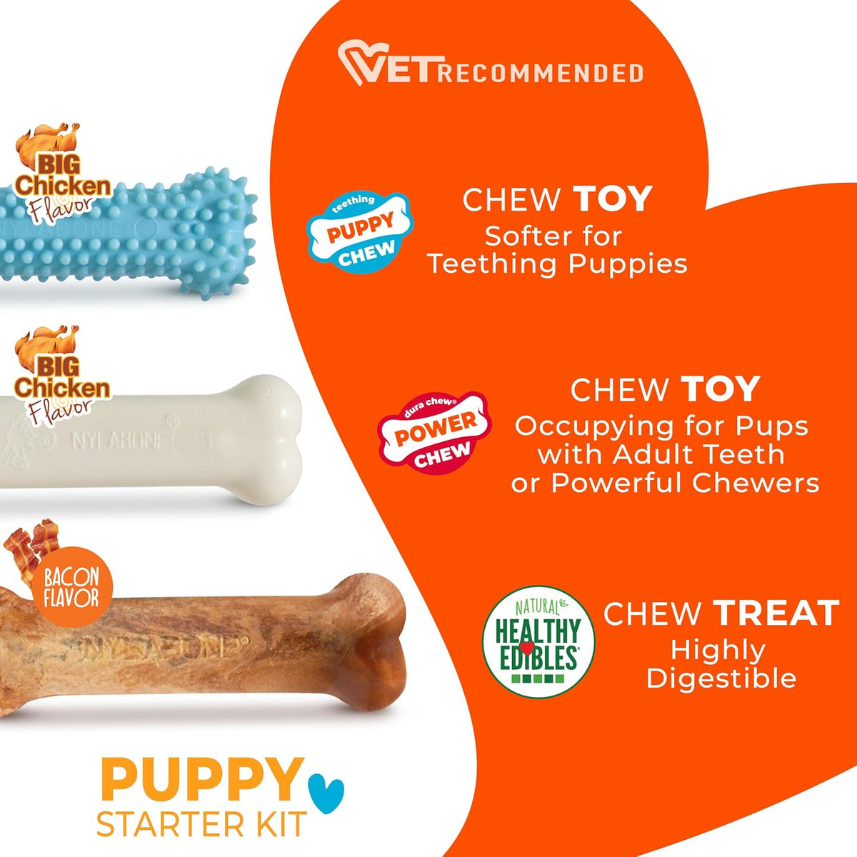 Nylabone Puppy Pacifier Chew Toy - Blue / Small - image 4