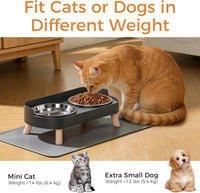 Elevated Cat Bowls Set - Raised Cat Food and Water Bowl Set with Non Slip Stand - Pet Feeding - Black with Mat - image 2