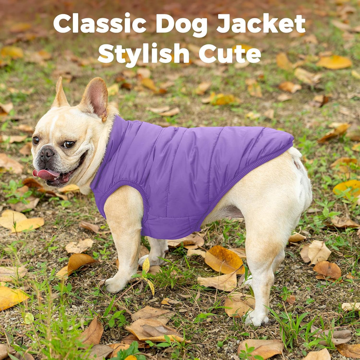 Fleece Lined Dog Jacket for Small Dogs, Winter Dog Coat - Purple / Medium - image 2